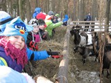 Kulig - klasa II a i II c, Łążek Garncarski 2014 (70)